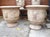 Pair of French Handmade Terracotta Anduze Planters With Satyre Masks For Sale - Image 9 of 16