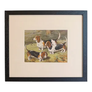 Single Print - Cassell, Petter, Galpin & Co Chromolithograph Dog Print in Black Frame