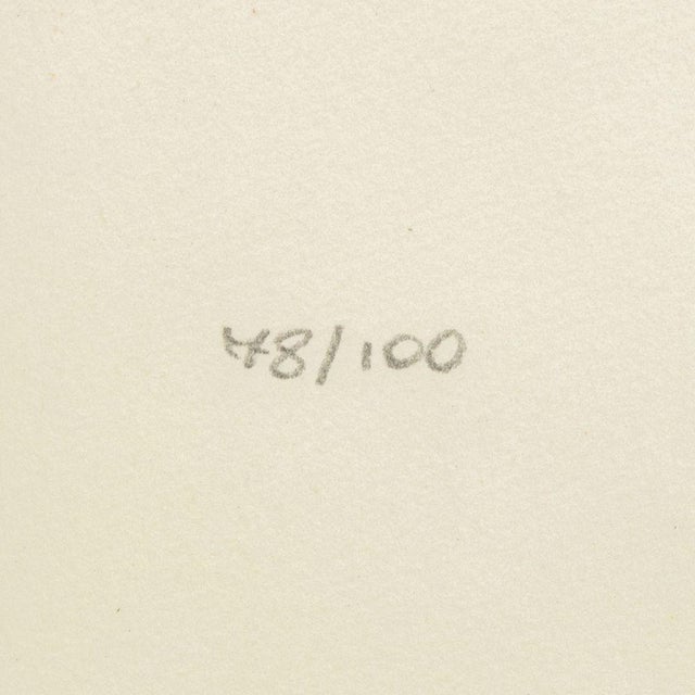 Shelly DiCello Ahern Surrealist Apple Aquatint For Sale - Image 4 of 7