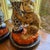 Mid-Century Modern Pair Vintage Ceramic Monkey Lamps For Sale - Image 3 of 5
