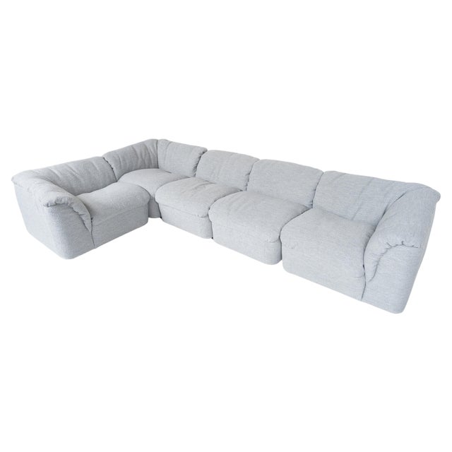Mid-Century Modular Sofa by Tito Agnoli for Arflex, 1960s, Set of 5 For Sale