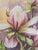 Vintage Original Budding Pink Lily Flower Still Life Watercolor Painting For Sale In Charlotte - Image 6 of 8
