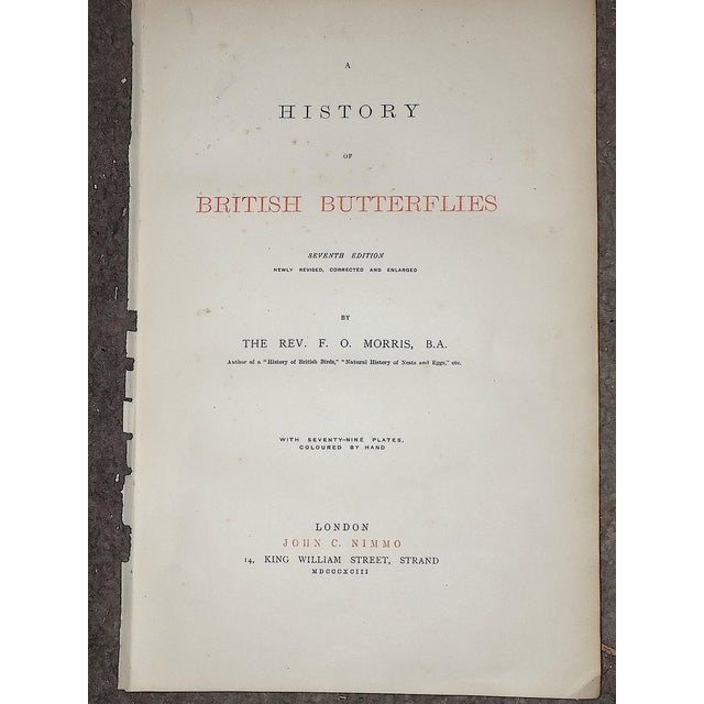 Orange Authentic Antique 19th Century Hand Colored Butterfly Lithographs - Set of 11 For Sale - Image 8 of 9