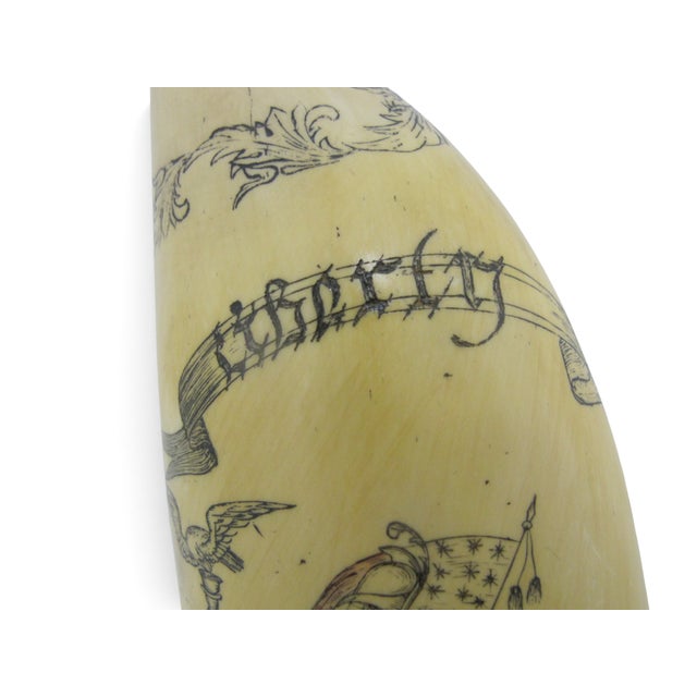 Save the Whale Polymer Faux Scrimshaw Reproduction Peacock Epervier Artek Tooth For Sale - Image 4 of 13