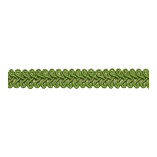 Sample - Schumacher Astor Braid Indoor & Outdoor in Leaf For Sale