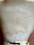 Antique Italian Carved Alabaster Female Bust, Aldolfo Cipriani For Sale In New York - Image 6 of 9
