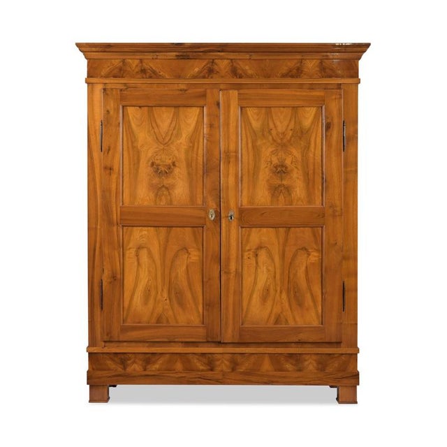 Biedermeier Walnut Cabinet, Rheinhessen, 1830s For Sale - Image 9 of 11