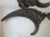 4 19thC Antique Bronze Architectural Elements, Acanthus Leaves For Sale - Image 4 of 7
