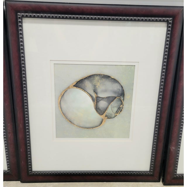Wood 1990s Set of Large Robb and Stucky Coastal Framed Pale Blue Green Seashell Wall Art Prints- Set 4 For Sale - Image 7 of 12