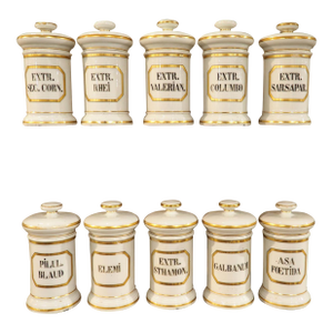 Set of 10 French Hand Painted Porcelain Apothecary Jars, 1900s