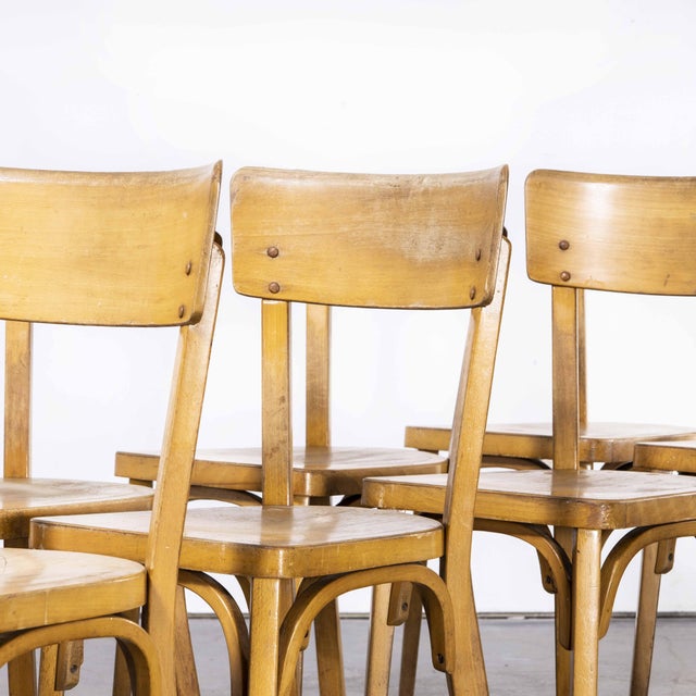 1950s French Honey Beech Bentwood Dining Chairs from Baumann, 1950s, Set of 4 For Sale - Image 5 of 17