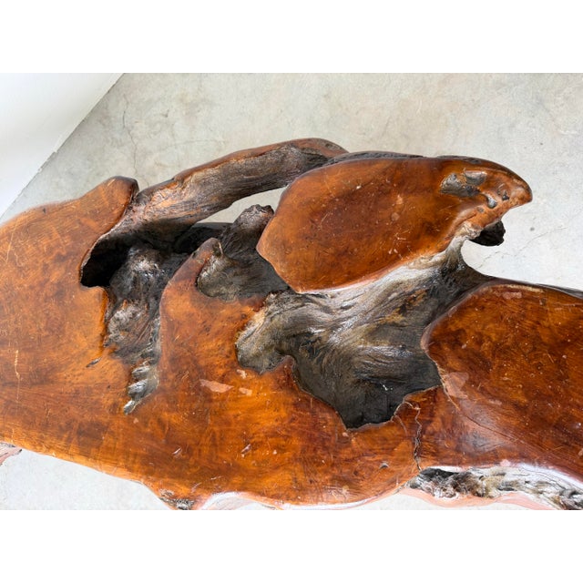 1960’s Mid-Century Hand-Carved Live Edge Redwood Burl Root Coffee Table For Sale - Image 9 of 12