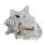 Nautical Large Late 20th Century Conch Shell For Sale - Image 3 of 6