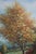 B. Trapp Vintage Meadow & Cottage Framed Oil Painting on Canvas For Sale - Image 11 of 12