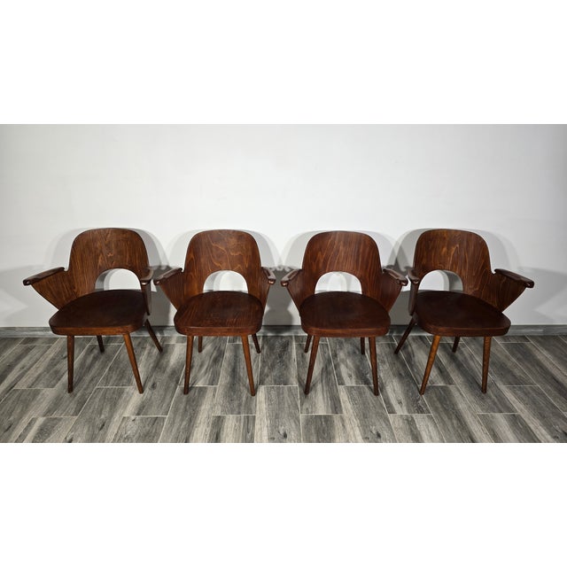 Wood Dining Chairs by Oswald Haerdtl for Ton, 1950s, Set of 4 For Sale - Image 7 of 18