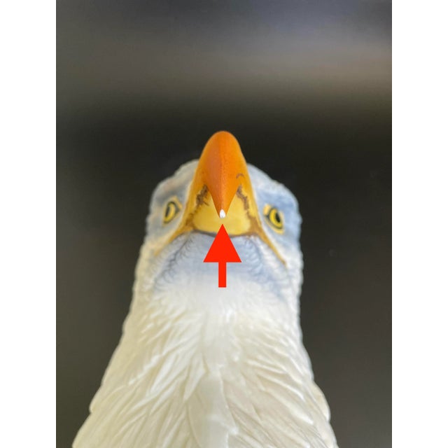 Andrea by Sadek Bisque Porcelain on Wood Base Bald Eagle Bust Bookends - a Pair For Sale - Image 10 of 12