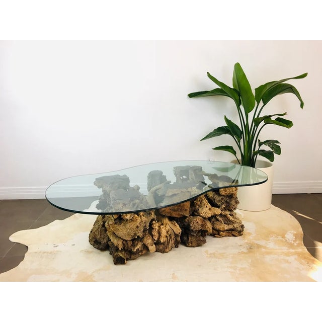 Vintage 1970s Burlwood Driftwood Sculptural Glass Top Coffee Table For Sale In Palm Springs - Image 6 of 11
