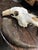 Late 20th Century Water Buffalo Skull, Thailand For Sale In Atlanta - Image 6 of 11