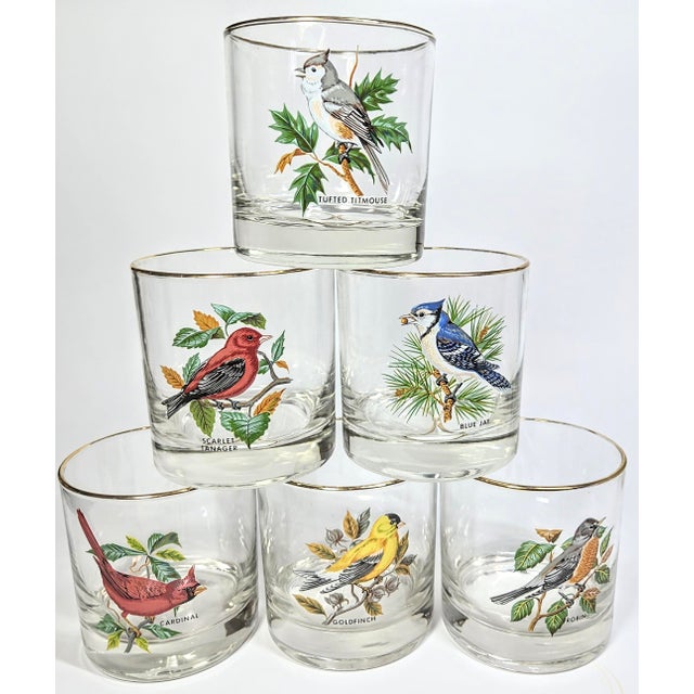 This is a collector's dream. Six of the most beloved north American songbirds on a double old fashioned glass. Tufted...