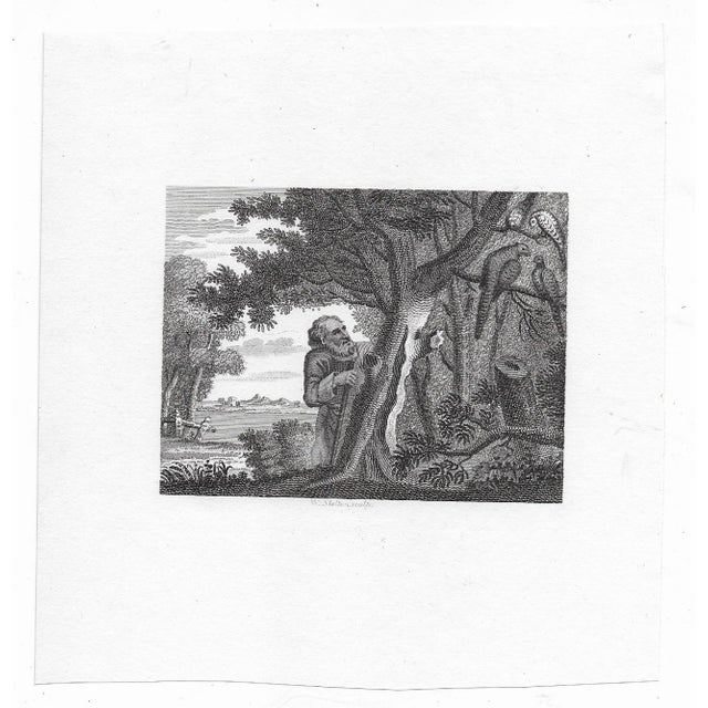 "Fable XV: The Philosopher and the Pheasants" 1793 copperplate engraving by William Skelton (1763-1848) after a painting...