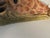 Vintage Gorgeous Pair of Giraffe Wall Brackets Encrusted With Sra Shells For Sale In Miami - Image 6 of 6