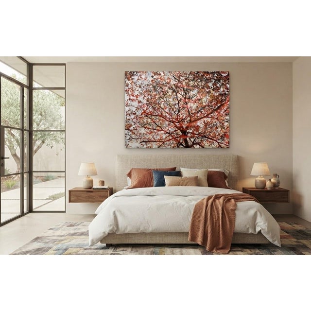 Large 40"x60" Autumn Tree Canopy Photo Print Fall Foliage Acrylic Wall Art Decor For Sale - Image 12 of 12