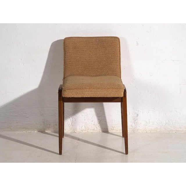 Set of Vintage Chairs, 1940 For Sale - Image 15 of 18
