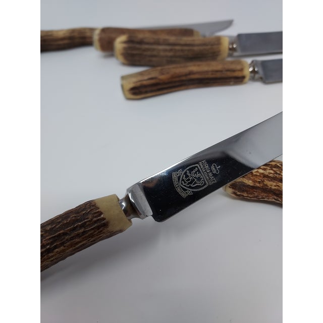 Rustic European Hoffritz Staghorn Handle Knives Steak Set 6 Forged Stainless Blades Sheffield Uk 1980s For Sale - Image 3 of 4
