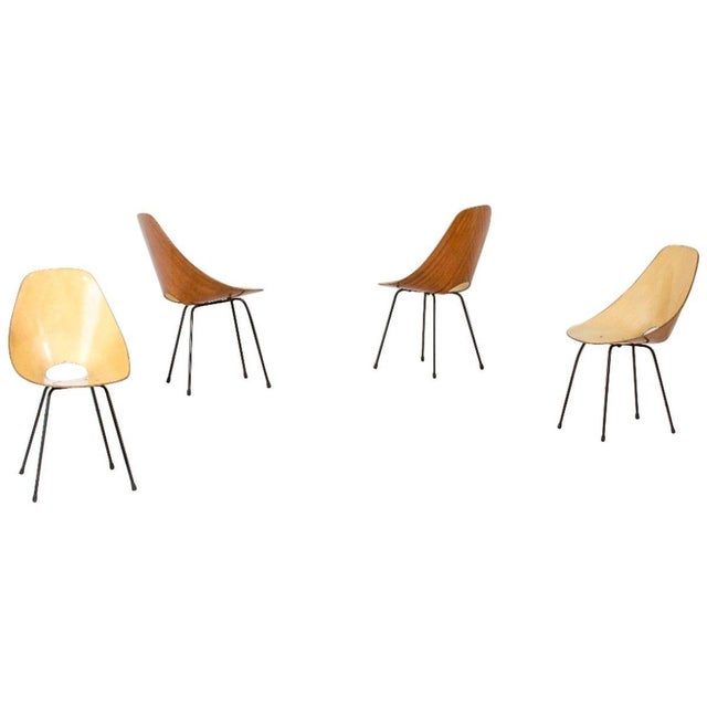 1950s Medea Chairs by Vittorio Nobili, Italy, 1955, Set of 4 For Sale - Image 5 of 5