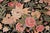Shabby Chic Foliate 1990's Pak-Persian Black/Black Wool Rug - 9'0'' X 12'1''V For Sale - Image 4 of 9