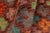 Brown Eclectic Balochi Brown/Rust Wool Rug - 3'3''x4'11'' For Sale - Image 8 of 11