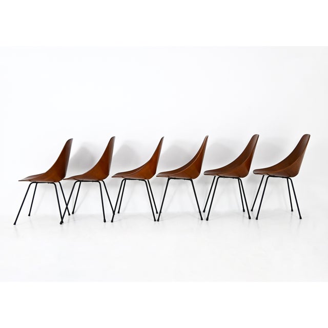 Dining Chairs by Vittorio Nobili for Frattelli Tagliabue, 1950s, Set of 6 For Sale - Image 6 of 11