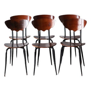 Set of 6 Iconic Mid 20th Century Bentwood Dining Chairs For Sale