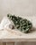 A quiet natural Hedenbergite-included quartz cluster selected for its deep forest-green coloration, interlocking prismatic...