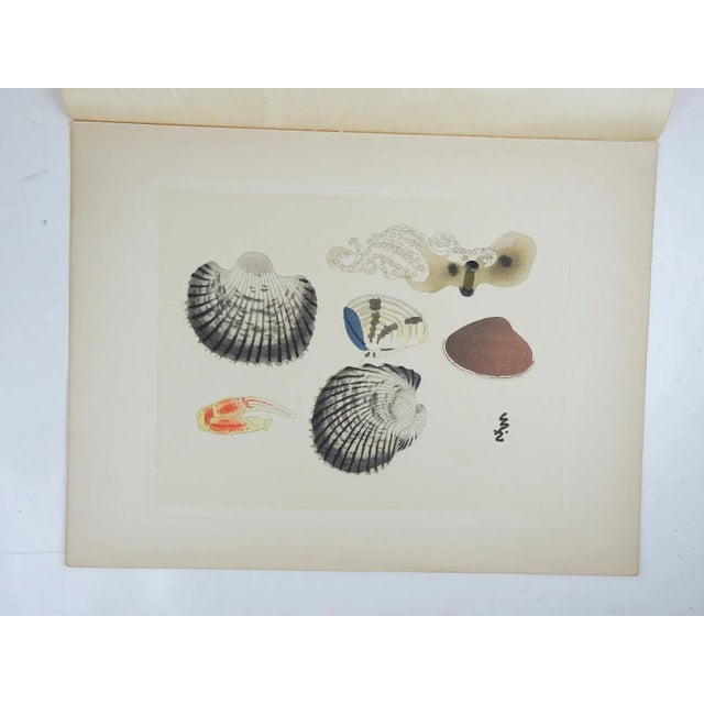 Vintage mid 20th century hand print on paper of shells, octopus and crab claw Japanese mingei folk art hand printed...