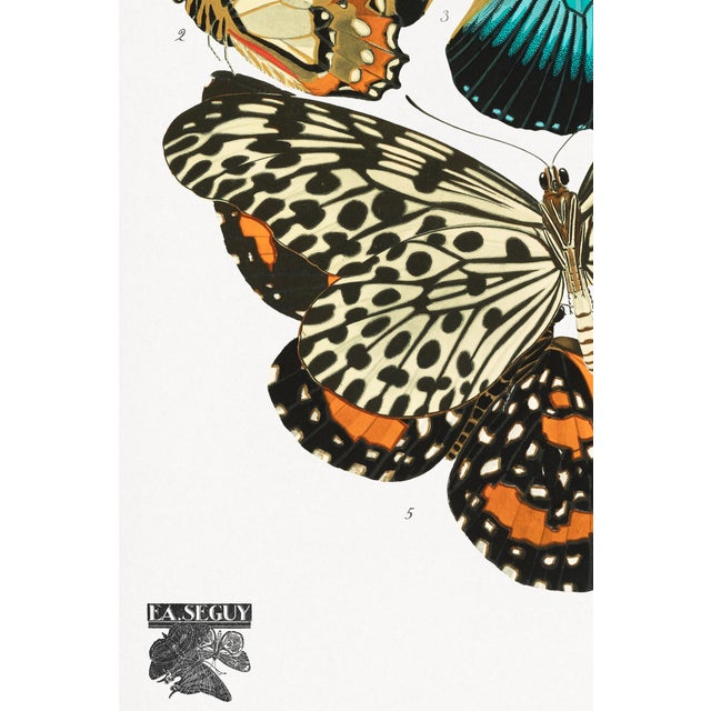 Butterflies (E. A. Séguy), Vintage Art Print Reproduction, 24″ × 36″ For Sale - Image 4 of 6