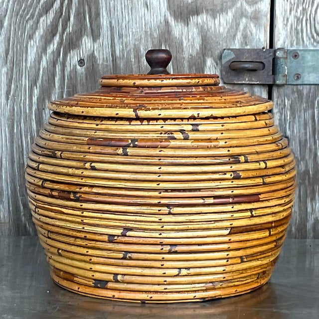 Chocolate Vintage Costal Pencil Reed Low Lidded Urn For Sale - Image 8 of 8