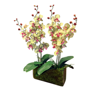 Mint Leaf Orchid Luxe