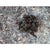 Black 59" X by 51" - "Black & White" Contemporary Abstract Relief Mixed-Media Painting For Sale - Image 8 of 10