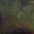 A richly atmospheric antique strawberry still life, painted in oil on academy board and signed and dated 1892. A tipped...
