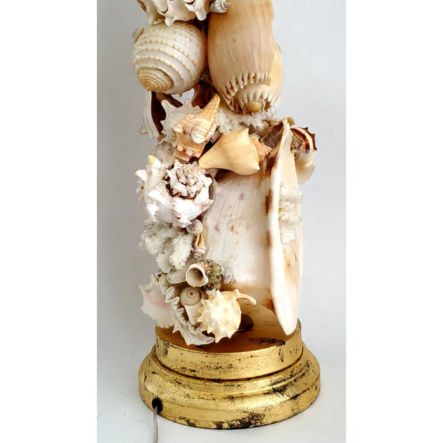 Gold Lamp Real Shells For Sale - Image 8 of 14