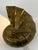 Mid-Century Modern Brass Sconce from Natilius, Germany, 1960s For Sale - Image 14 of 18