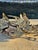 Brutalist vintage decorative metal fish sculpture, mounted on driftwood, in the style of Curtis Jeré. A popular theme in...
