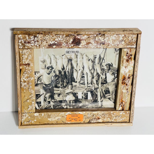 Vintage Florida Fishing West Key Coastal Photograph in Rustic Barnacles Frame For Sale - Image 4 of 6