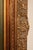 Oil Painting Botanical Still Life in Carved Wood Gold Leaf Frame Signed Heather For Sale - Image 16 of 18