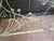 Traditional Vintage Salterini Style Patio Table and Chairs For Sale - Image 3 of 12