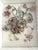 Exquisite German bisque floral arraignment in gold shadow box. Measures 12” x 15” x 4”d. Has never been removed from box,...