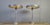 Metal Vintage Desk Lamps by Louis Kalff, 1960s, Set of 2 For Sale - Image 7 of 10