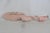 Mid 20th Century Pink Ceramic 3pc Set Tray Sugar Creamer With Gold Sea Horse Handle Design For Sale In Miami - Image 6 of 13