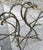 Late 19th Century Gothic Shaped Bamboo Tiered Plant Stand W/Wire Spider Web Holders Painted Black For Sale - Image 4 of 17